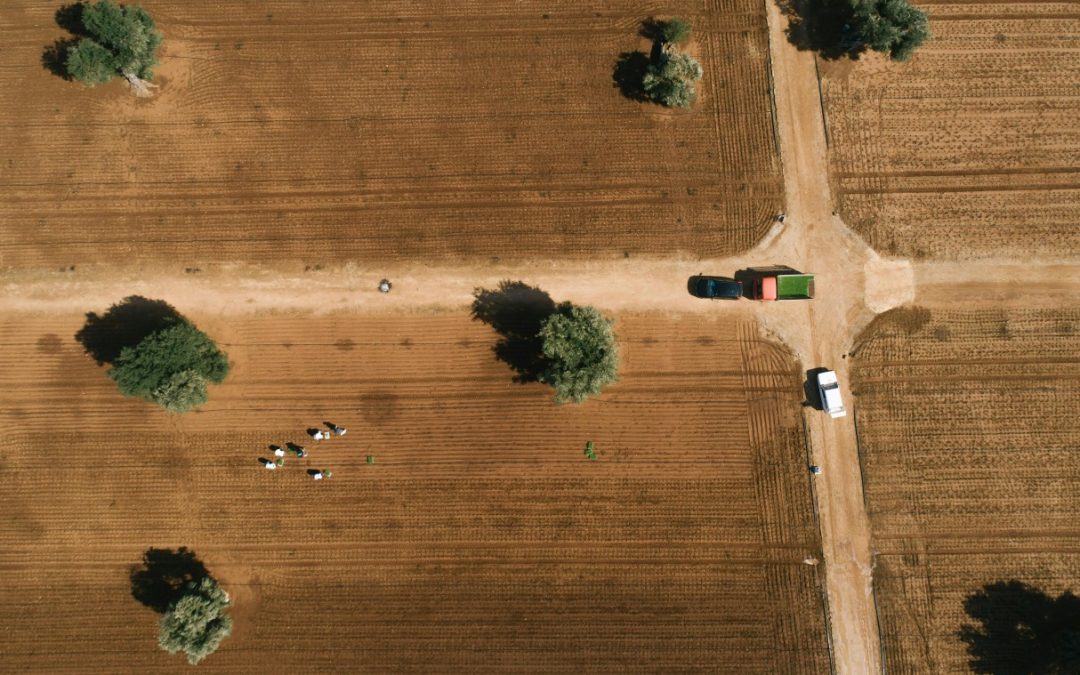 Területmérés az AKG és ÖKO pályázatokhoz